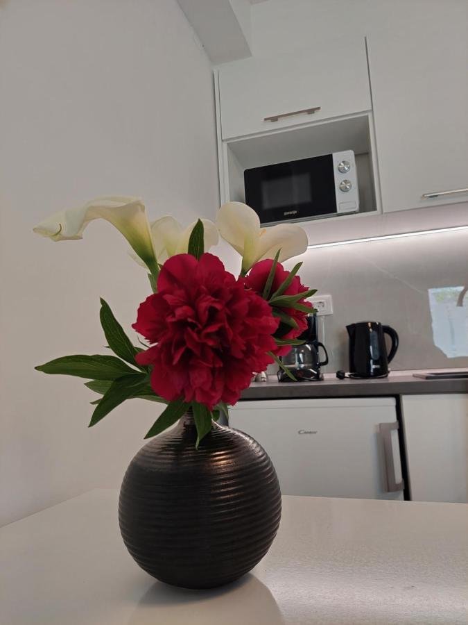 Apartment Mara Dubrovnik Bagian luar foto